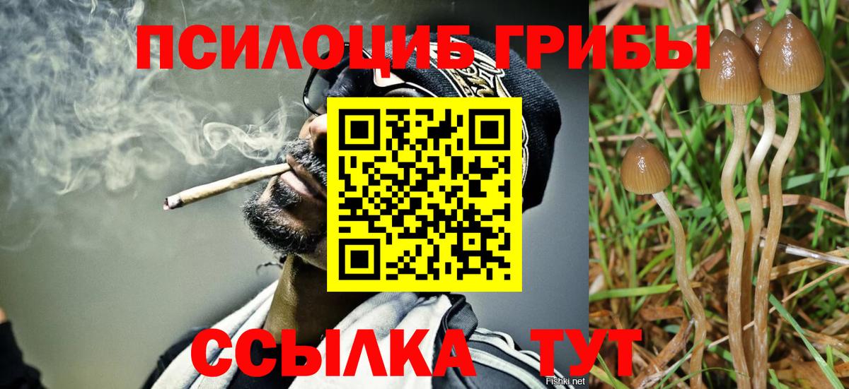 Псилоцибиновые грибы Magic Shrooms  Вход с VPN  Гай  Псилоцибиновые грибы мицелий 