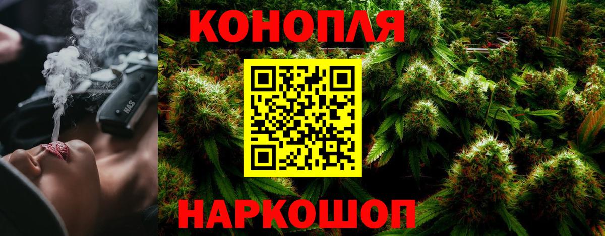 МАРИХУАНА сатива Гай